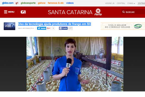 Uso da tecnologia ajuda produtores de frango em SC