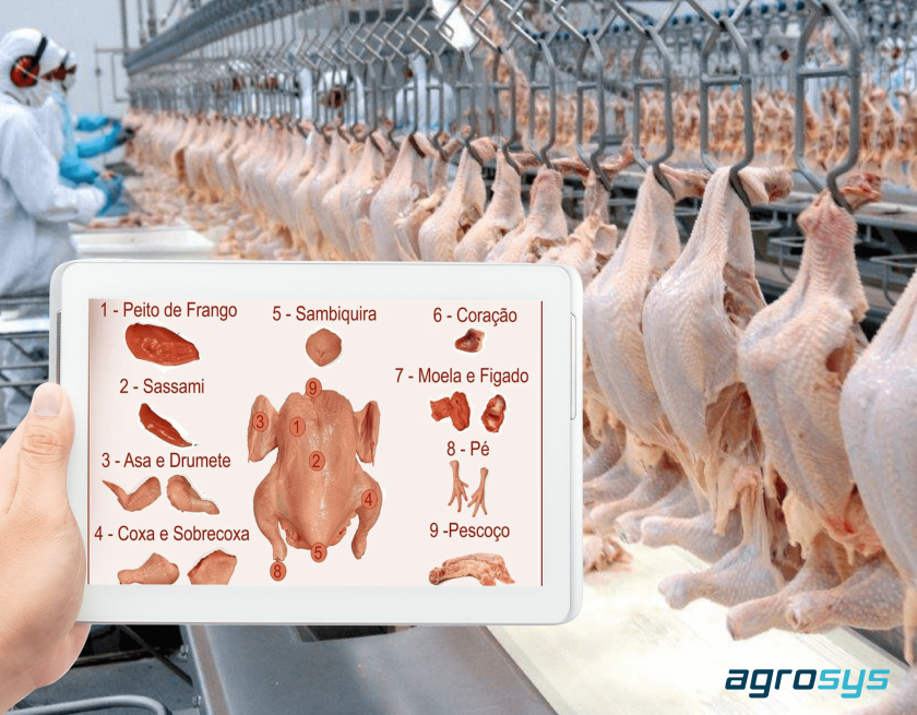 Do campo à mesa: qualidade da carne é uma preocupação para produtores e consumidores